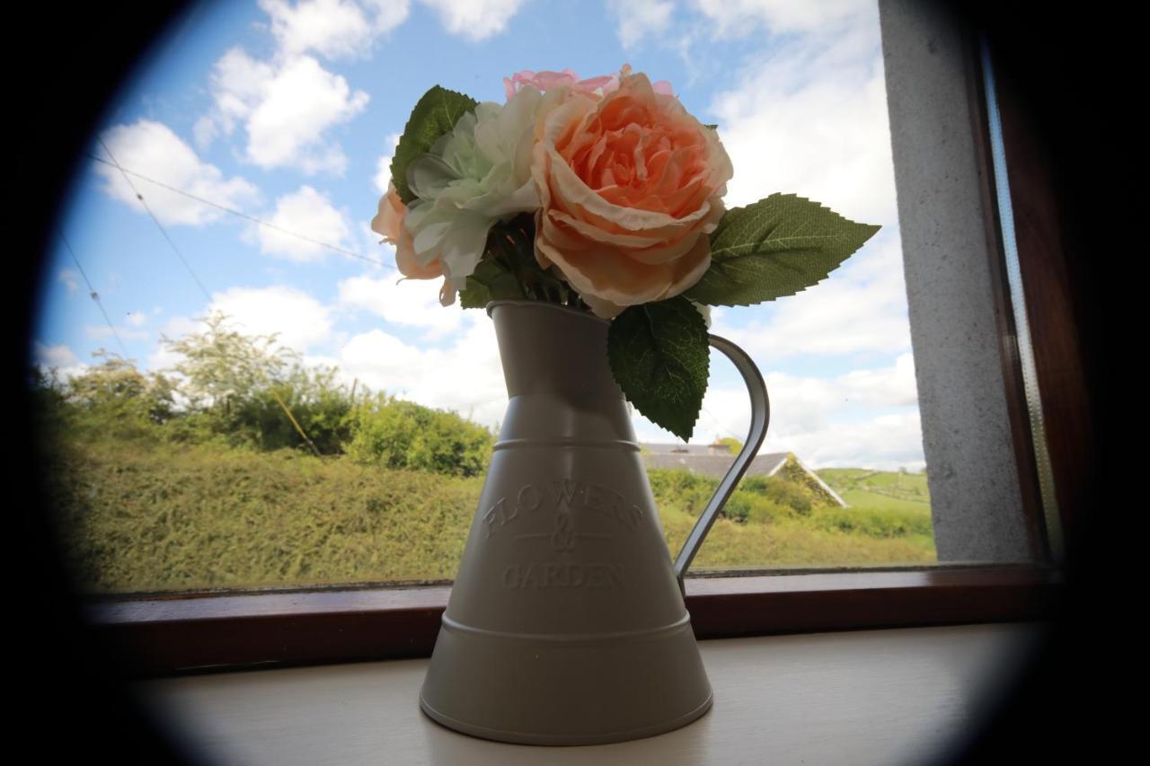 Alices Loft & Cottages Castleblayney Eksteriør bilde